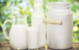 Преимущества полуобезжиренного молока