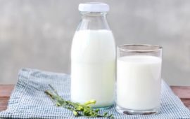 Преимущества и свойства молока